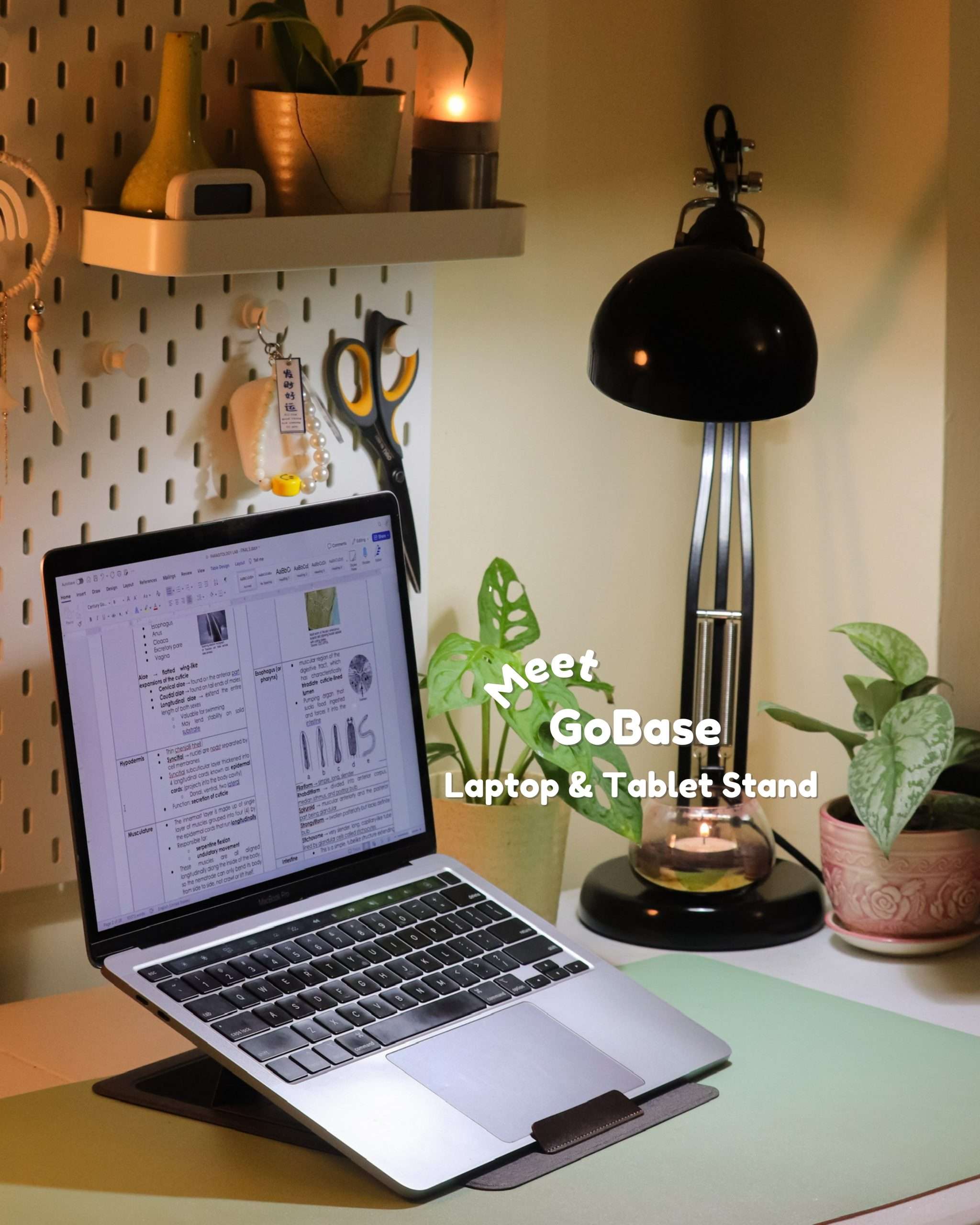 GoBase by WorkGadgets.ph 1