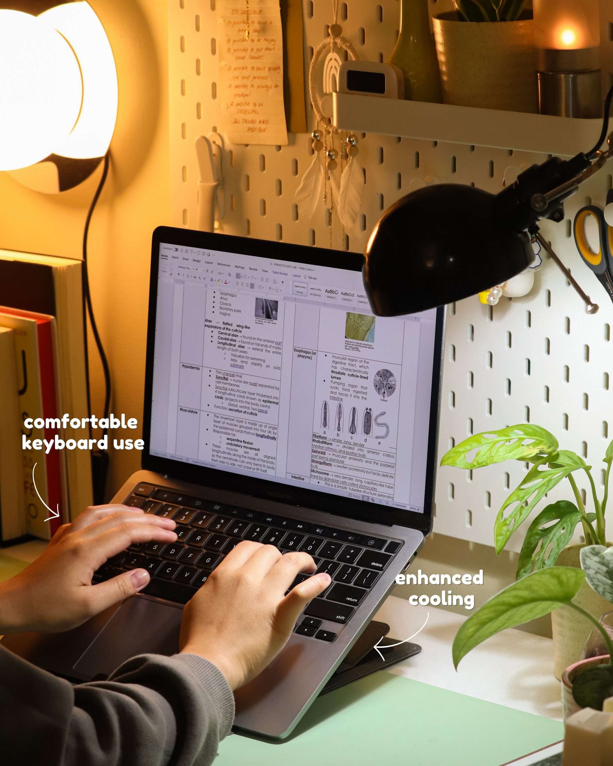GoBase by WorkGadgets.ph 2